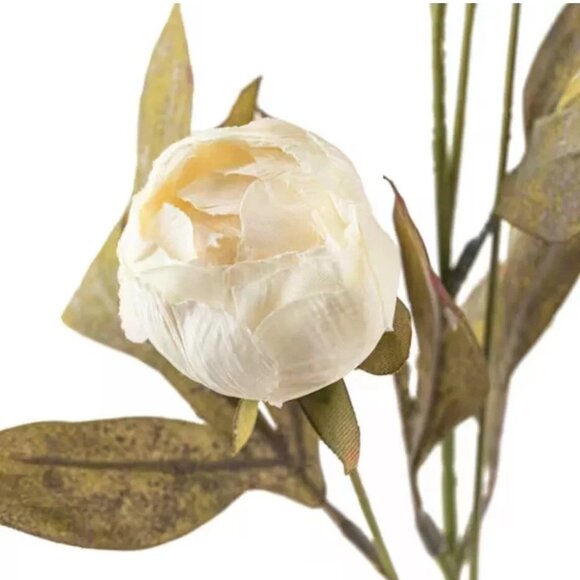 Michael's Ashland Cream Peony Stems Set of 8 - Picture 3 of 3